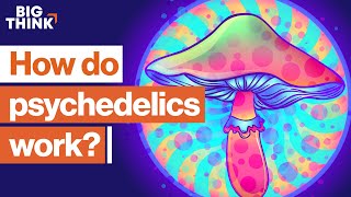 Psychedelics: The scientific renaissance of mind-altering drugs | Sam Harris, Michael Pollan & more