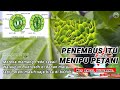 PENEMBUS...⁉️ Penembus itu Menipu Petani..