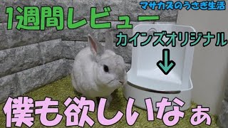 【カインズオリジナルの牧草ボックス】一週間使って感じた良かった所、悪かった所　2つ目を購入しました!