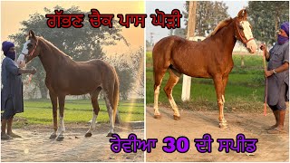 ਰੇਵੀਆ 30 ਦੀ ਸਪੀਡ ਤੇ ਉੱਪਰੋ ਗੱਭਣ ਚੈਕ ਪਾਸ ਚੈਪੀਅਨ ਤੋ