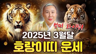 2025년 3월달 범띠운세 대운들어오는 호랑이띠는 몇년생!? /보경당의 운세이야기