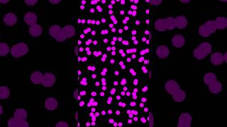 Pink Polka Dot 🟣 Live Wallpaper Motion Graphic