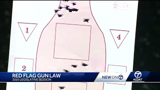 Proposed changes to red flag gun law in New Mexico