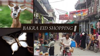 Bakra Eid Shopping Haul  || Sialkot Bazar || Budhi Bazar