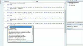 How to make a WebBrowser in Visual Basic 2008 Express