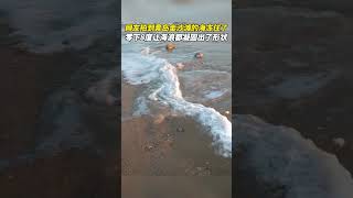 网友拍到青岛金沙滩的海都冻住了！ 夕阳下被冻住的大海原来可以这美！#大美中国