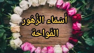 اسماء الزهور الفواحة