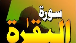 surah baqarah ayat 151-158, Allah the rehman, reciting, holy quran  November 5, 2022
