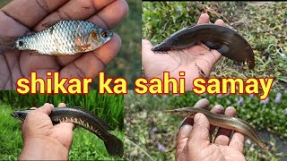 मछली शिकार का सही समय और चारा || मछली कब ज्यादा चारा खाती है || Good time for fish hunting