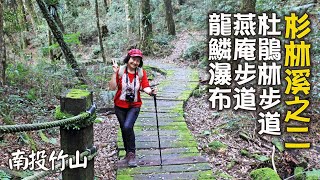 南投竹山杉林溪_台灣杜鵑林步道→燕庵步道→龍鱗瀑布 Ep.3(2017.9.27)