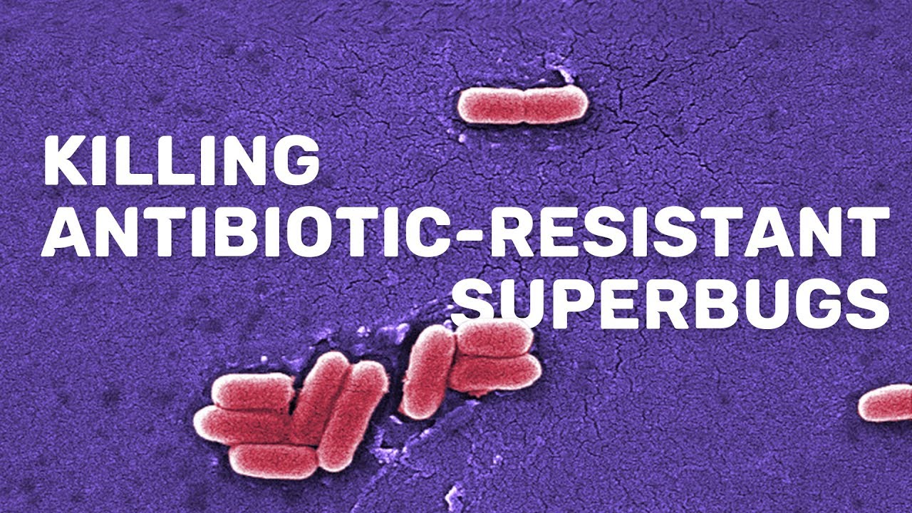 The Problem Of Antibiotic Resistance (and How We Might Solve It ...