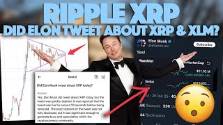 Ripple XRP: XRP Bullish Pennant Invalidated, Should We Worry? \u0026 Did Elon Actually Tweet About XRP?