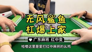 广东麻将： 挡都挡不住呀#麻将治百病 #红中麻将 #广东麻将