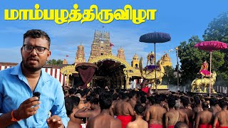 நல்லூரில் பிரம்மாண்டமாக நடந்த மாம்பழத்திருவிழா,குவியும் மக்கள்|@jaffnapodiyan |#jaffna |#vlogs