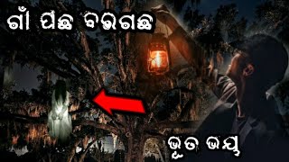 ଗାଁ ପଛ ବର ଗଛର ପ୍ରେତାତ୍ମା - ଏକ ସତ ଭୟାନକ ଭୂତ କାହାଣୀ - REAL ODIA HORROR STORY 2021 !!