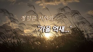 정일근 시인 - 가을 억새