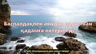 Даналығымен таң қалдыратын керемет Түрік мақал-мәтелдері. Ұлы адамдардың Дана сөздері. Хит 2024.