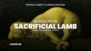 Truth About The Sacrificial Lamb #jesus #truth #YouTube #jesuschrist