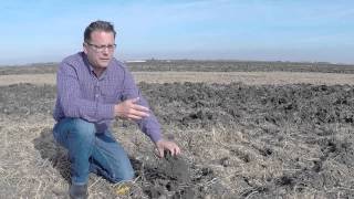 2014 Fall Primary Tillage Update by Matt Foes. Presented by 360 Yield Center