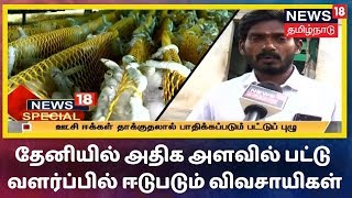 News 18 Special: தேனியில் அதிக அளவில் பட்டு வளர்ப்பில் ஈடுபடும் விவசாயிகள் | Rearing of silkworm