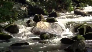 那珂川上流の急流の音！脊振雷山県立自然公園　南畑公園（福岡県）