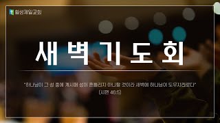 [횡성제일교회] 20241121 목요 새벽기도회