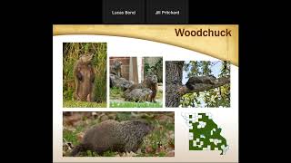 Wild Webcast - Winter Wildlife Survival (2022.12.14)