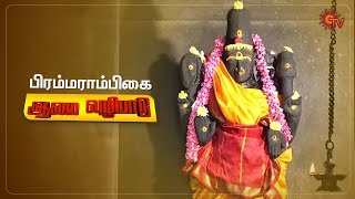 பிரம்மராம்பிகை ஆலய தரிசனம் | ஆலய வழிபாடு | 28th Feb 2020 | Sun TV