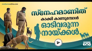 കാക്കി കാണുമ്പോള്‍ ഓടിവരുന്ന നായ്ക്കള്‍: സ്‌നേഹമാണിത്...| Nemom Police Station | Trivandrum |