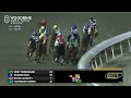 woodbine tbred november 29 2024 race 8 woodbine horse race replay