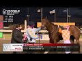 woodbine tbred november 29 2024 race 8 woodbine horse race replay