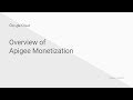 Apigee Monetization Overview