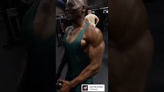 Williams Falade - Arms day