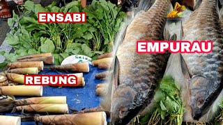 IKAN EMPURAU  HARGA KAYANGAN #enseluai #Ikan empurau sarawak