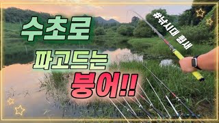 Ep. 78 짬낚시에도 낚시대가 휘어지는 붕어ㅣ쟁반붕어ㅣ섬강 붕어ㅣ짬낚시ㅣ대박