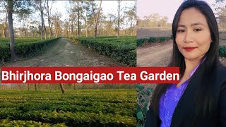 Bhirjora Bongaigaon Tea Garden// Denwisw First Time // Nailangdw Lwgwfwr