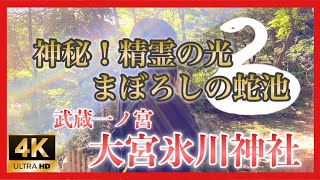 神秘！精霊の光【大宮氷川神社】まぼろしの蛇の池　青山桃子がゆく！