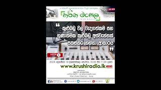 හරිත මංසල - කුළුබඩු වල වැදගත්කම සහ ගුණාත්මක කුළුබඩු අස්වැන්නක් සකස්කර ගන්නා ආකාරය 2024-12-19