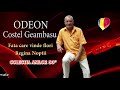 costel geambasu si odeon din buzau fata care vinde la flori regina noptii crisbandmusic