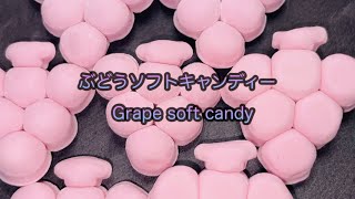 カワイイ💕ソフトキャンディー🍇ぷちっとでかぶどう🍇【Japanese soft candy】