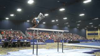 Akash Modi - Parallel Bars - 2018 Winter Cup - Finals
