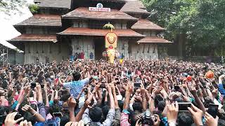 thrissur pooram 2018(നെയ്തലക്കാവിലമ്മയുടെ തിടമ്പേറ്റി തെച്ചിക്കോട്ട്ക്കാവ് രാമചന്ദ്രൻ)