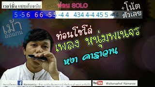 หนุ่มพเนจร - หงา คาราวาน 【ท่อนโซโล่+โน้ตตัวเลข เม้าท์ออแกน Harmonica cover】