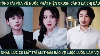 Tổng tài vừa về nước thì phát hiện crush lại là chị dâu lúc cô mất trí âm thâm bảo vệ luộc cô làm vợ