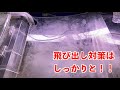 サテライトケースでブラックアロワナ飼育 注意点や餌について『blackarowana』aquarium　大型魚　南米からの刺客