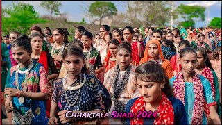 छकतला आज कि लास्ट शादी 2024 !! chhaktala shadi 2024 !! छकतला शादी वीडियो 2024