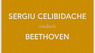 L.V Beethoven - The Complete Symphony Collection - Celibidache / MPO