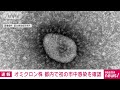 東京でオミクロン株の感染確認　初の市中感染 2021年12月24日