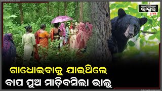 ଗାଧୋଇବାକୁ ଯାଇଥିଲେ ବାପପୁଅ ମାଡ଼ିବସିଲା ଭାଲୁ । ପୁଅ ଆଖି ସାମ୍ନାରେ ବାପାକୁ ଚାଟି ଚାଟି....