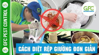 Cách Diệt Rệp Giường Đơn Giản, Hiệu Quả Ít Ai Biết | GFC